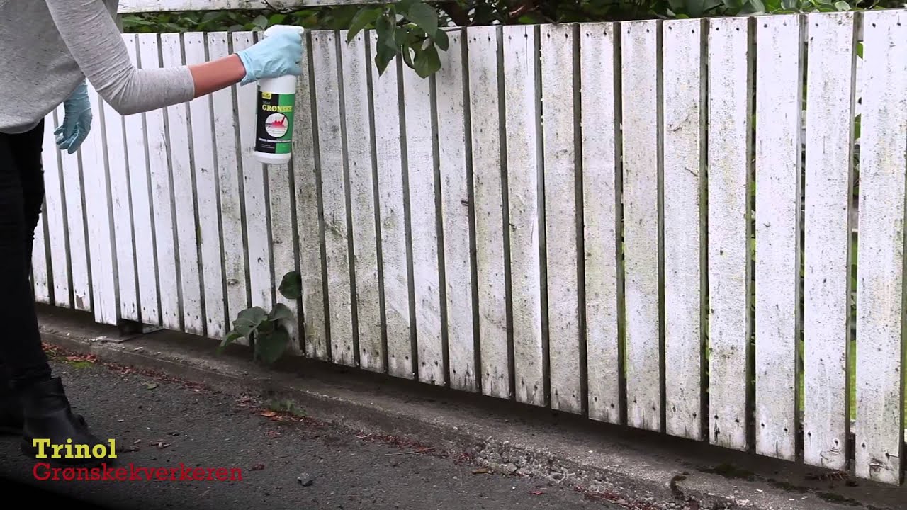 Trinol Grønskekverkeren