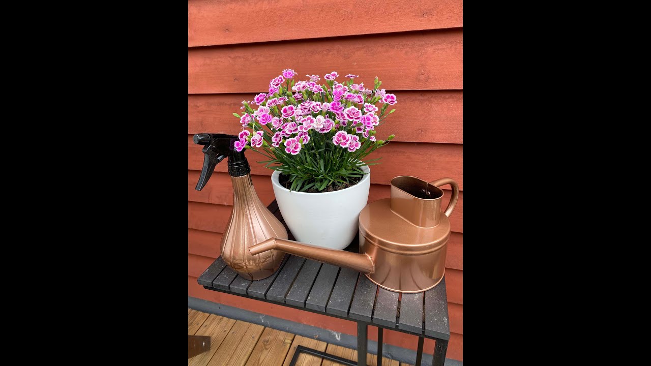 Maston Decorative Copper Spray paint video