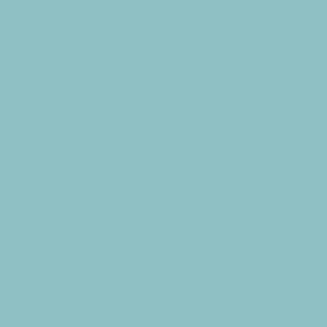 5306 Pirat NCS 2531-B35G