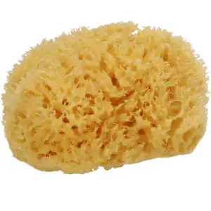 Natursvamp Middelhavssvamp myk og tett