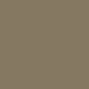 10963 Golden Bronze NCS 5613-Y10R
