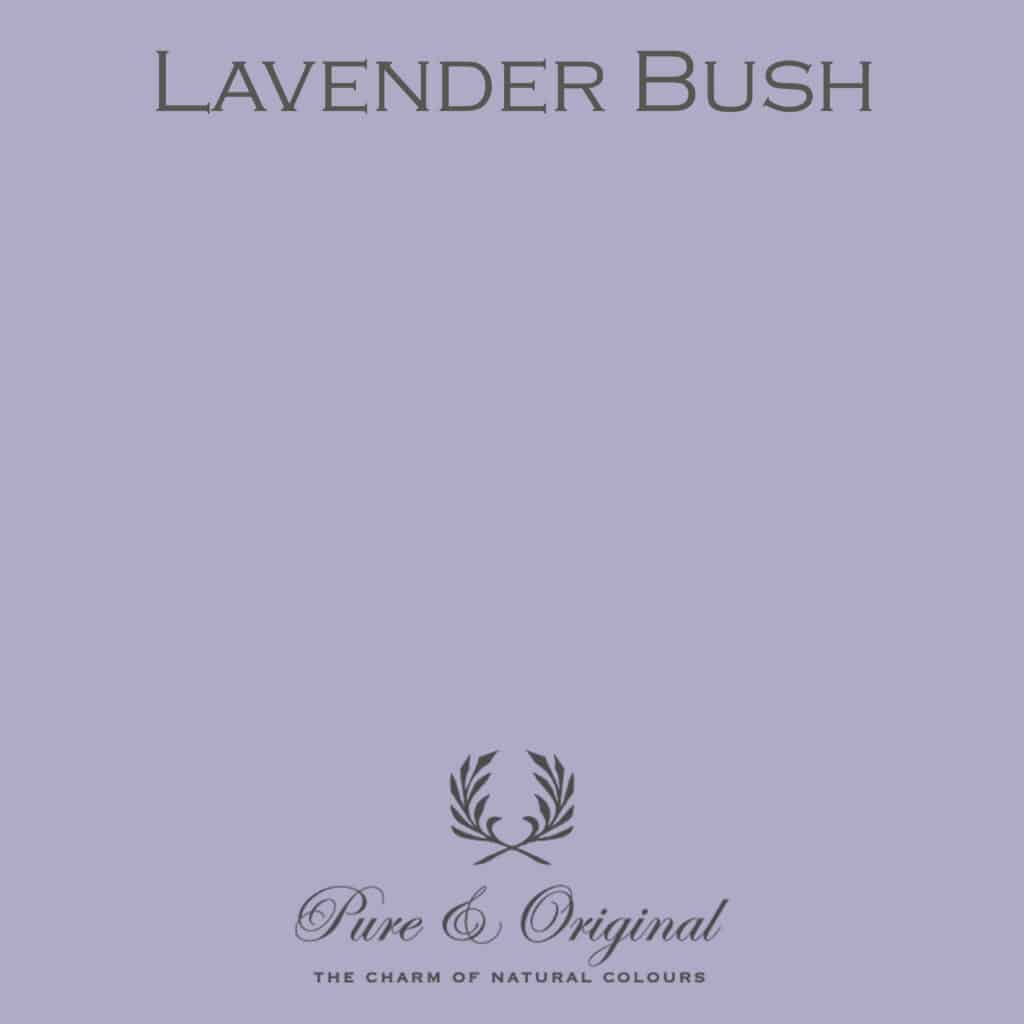 Lavender Bush - Classico Krittmaling -Pure & Original