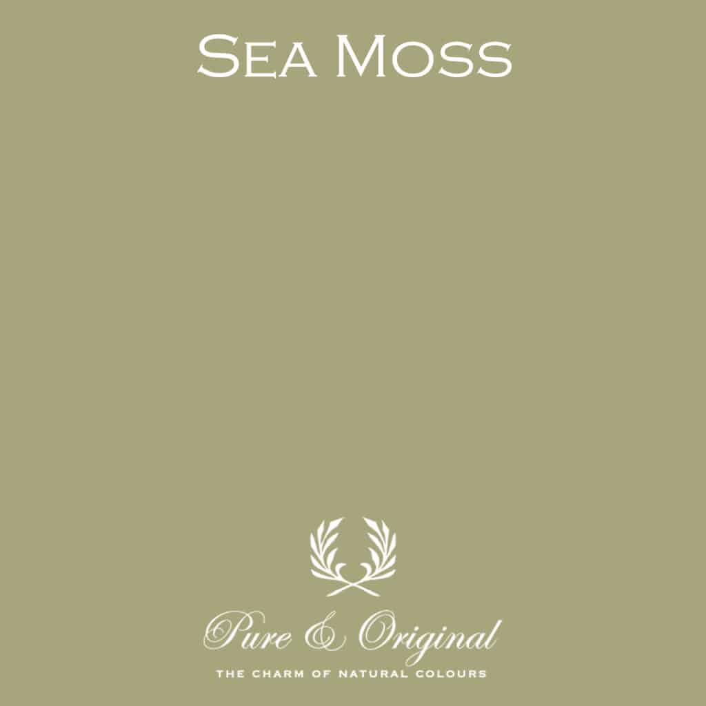 Sea Moss - Classico Krittmaling - Pure & Original